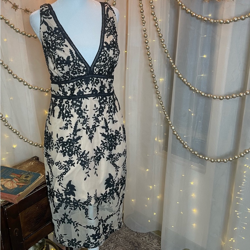 Bardot Black Lace Overlay Sleeveless Plunge Sheath Dress